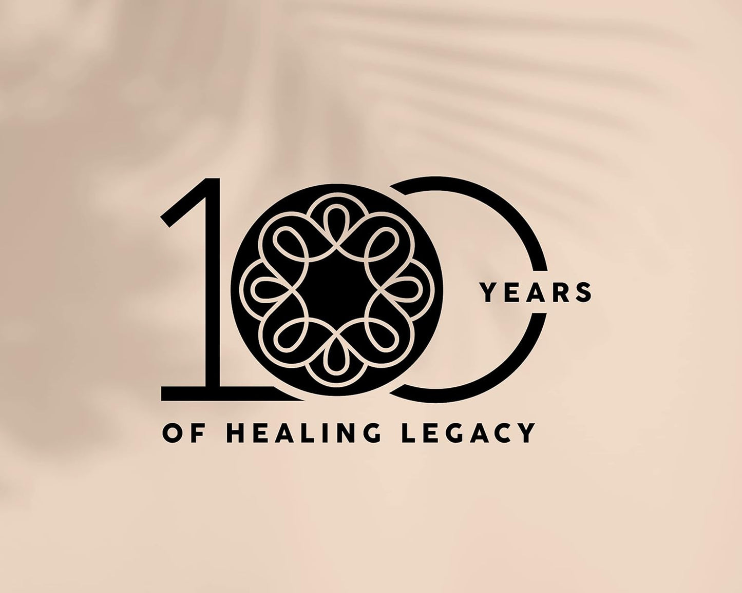 Ashta Choornam Ayurvedic Digestive Powder - Pack of 4* 50g