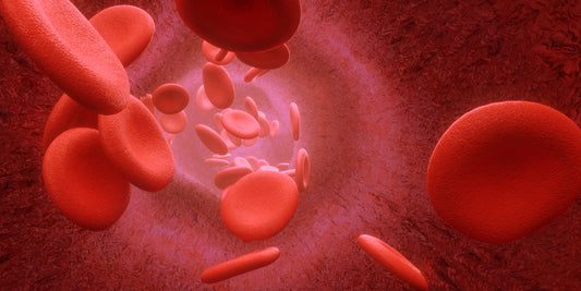 How Does Diseases Affect Blood Flow?