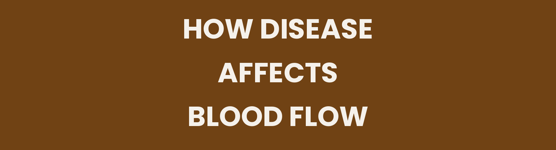 How disease affects blood flow, Ayurvedic view