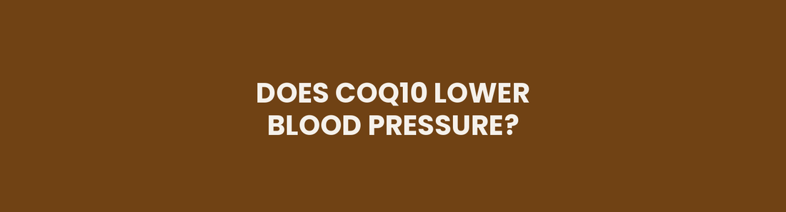 Does CoQ10 lower blood pressure