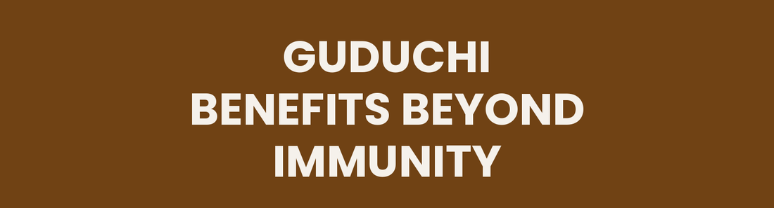Guduchi Benefits Beyond Immunity