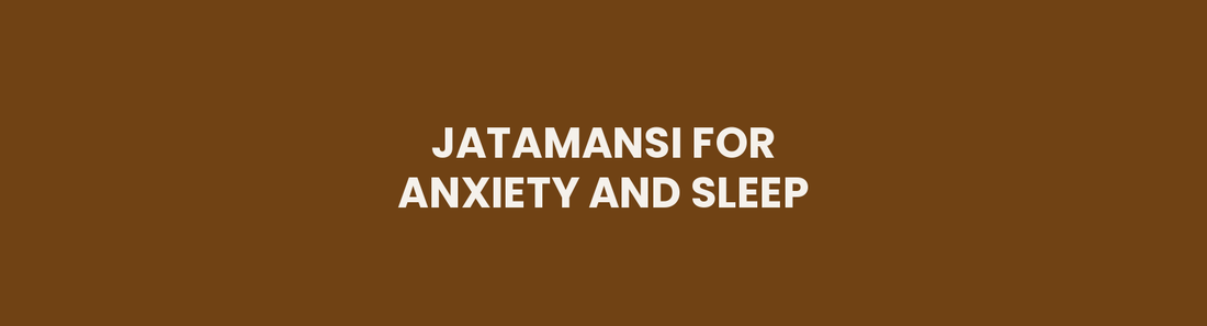 Jatamansi for Anxiety and Sleep