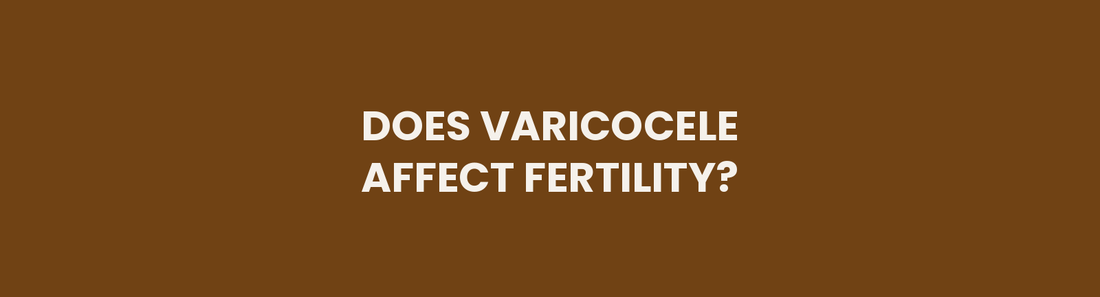 Does Varicocele Affect Fertility header image