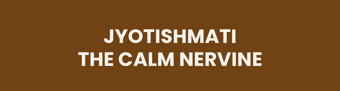 Jyotishmati the Calm Nervine
