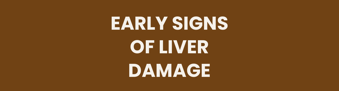 Early Signs of Liver Damage (And What Ayurveda Says Is Actually Happening)