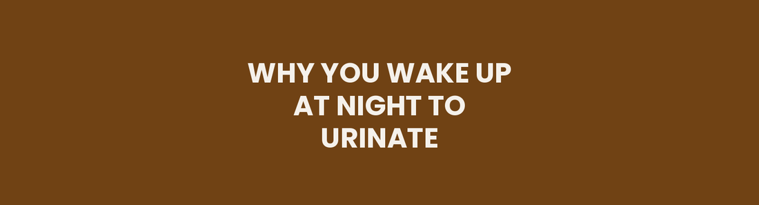 Why You Wake Up at Night to Urinate