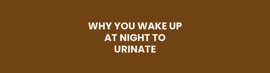 Why You Wake Up at Night to Urinate