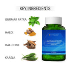 Agnanorm Supplement for Healthy Blood Sugar & Metabolism Support