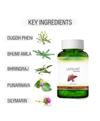 Livosurg Liver Detox Capsules with Milk Thistle | Nirogam