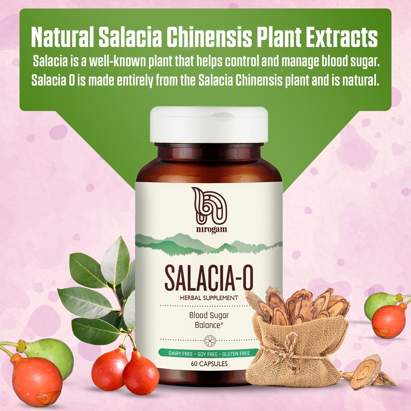 Salacia Capsules | Blood Sugar Support